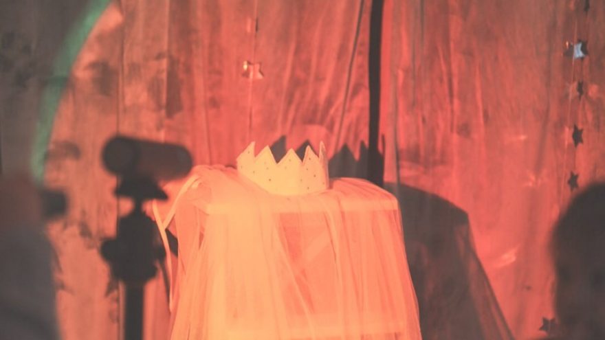 Interaktyvus šokio spektaklis kūdikiams (12-24 mėn.) ir jų suaugusiems  &#8221;Vilkyšius ar Mėnulio karūna?&#8221;