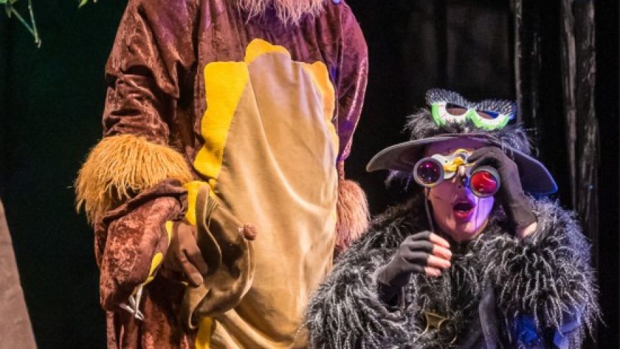 Mikė Pūkuotukas ir draugai