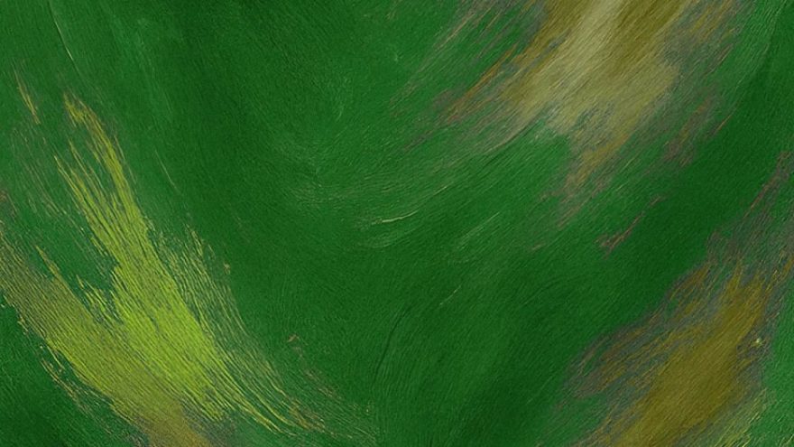 POP DAINOS SU LVSO | 17-asis LVSO vasaros festivalis