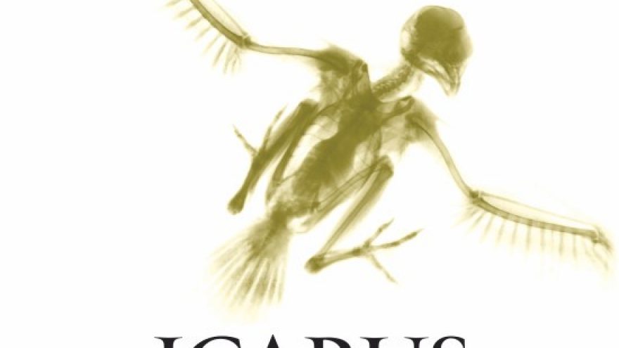 VŠDT premjera | ICARUS MACHINE | rež. Jokūbas Brazys