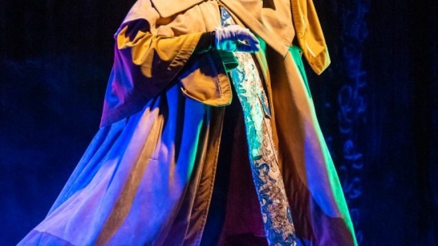 Premjera vaikams. Bjaurusis ančiukas