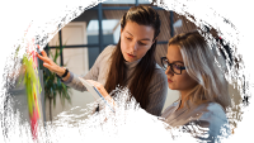 Sužinokite, kokios yra Jūsų prigimtys ir intelektai