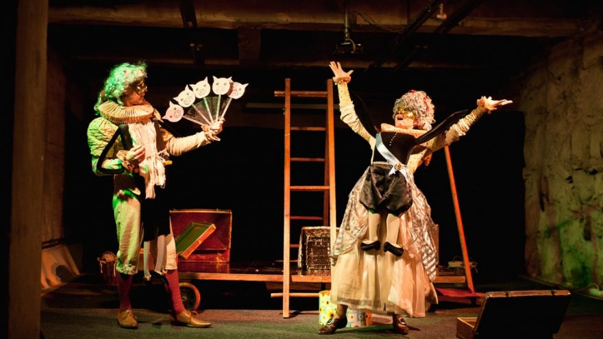 Princesė ir kiauliaganys