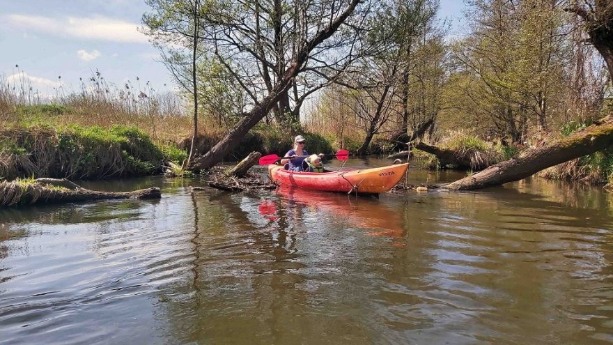 Plaukimas baidarėmis Vilniuje