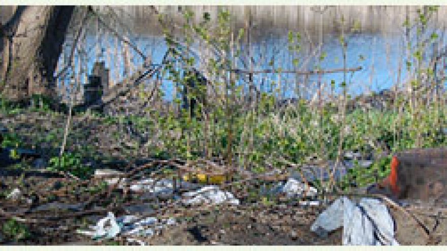 Varžybos  pereinamajai “Upių labirinto” taurei laimėti