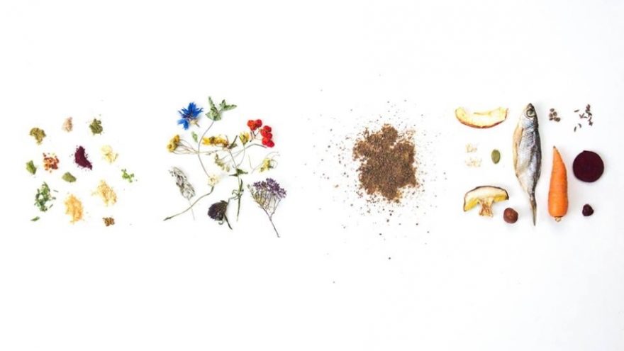 Lietuviškų švenčių ritualai: maisto potyrių dizainas