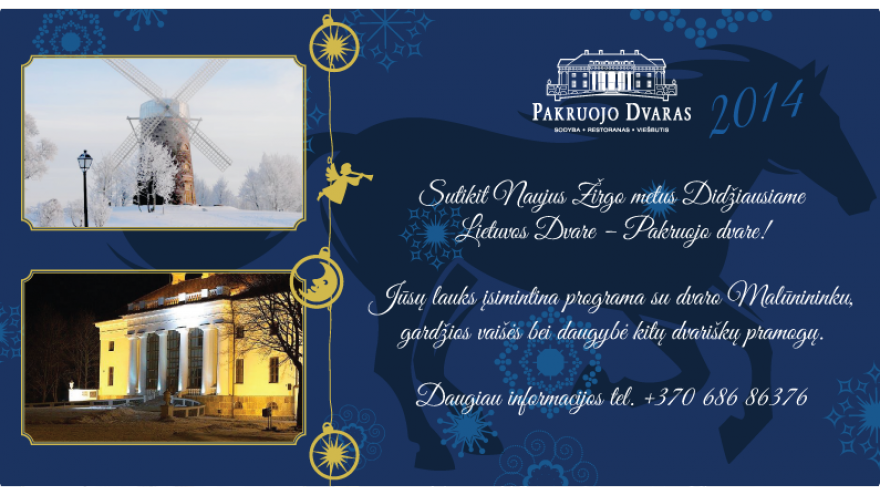 Naujų metų sutikimas Pakruojo dvare