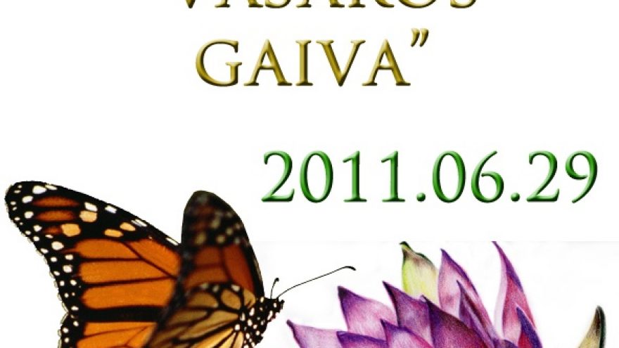 Protų kovos klube “Torro”