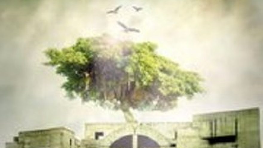 Festivalis „Kas vyksta Kaune. Gyvai”