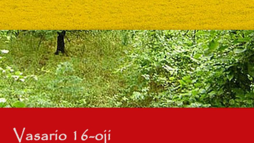 Trečiadienis S.Vainiūno namuose