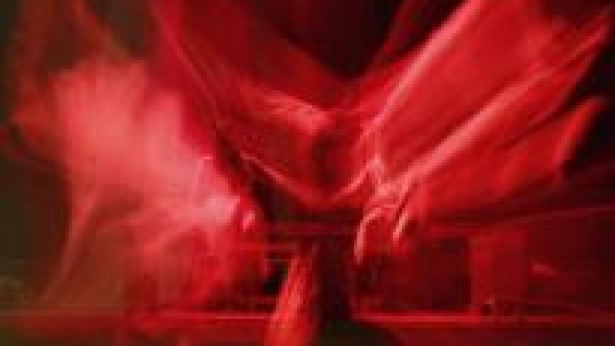 Šokio, muzikos ir poezijos vakaras