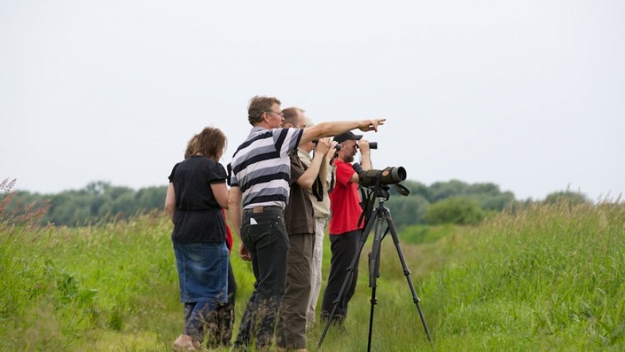 Festivalis Nemuno deltoje „Vidur vandenų“