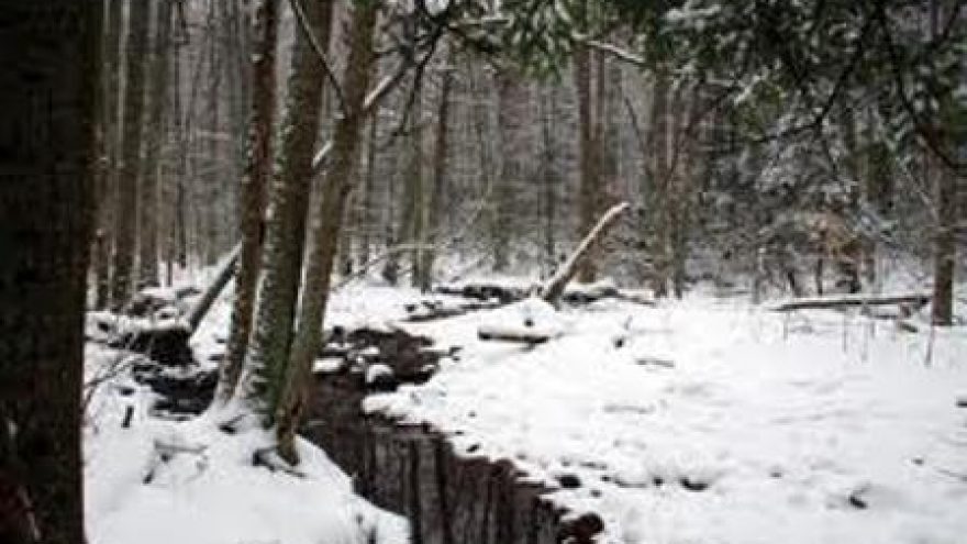 Pėsčiomis iš Virbalio į Alvitą