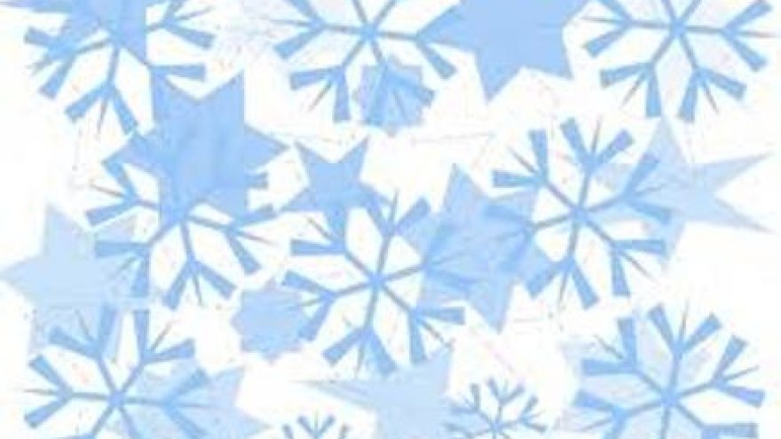 Pėsčiomis iš Baltamiškio po Panerių mišką