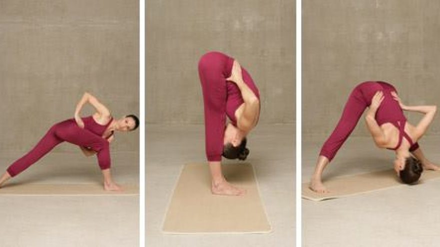 Gydančiosios Tibeto Jogos Lu Džong Seminaras