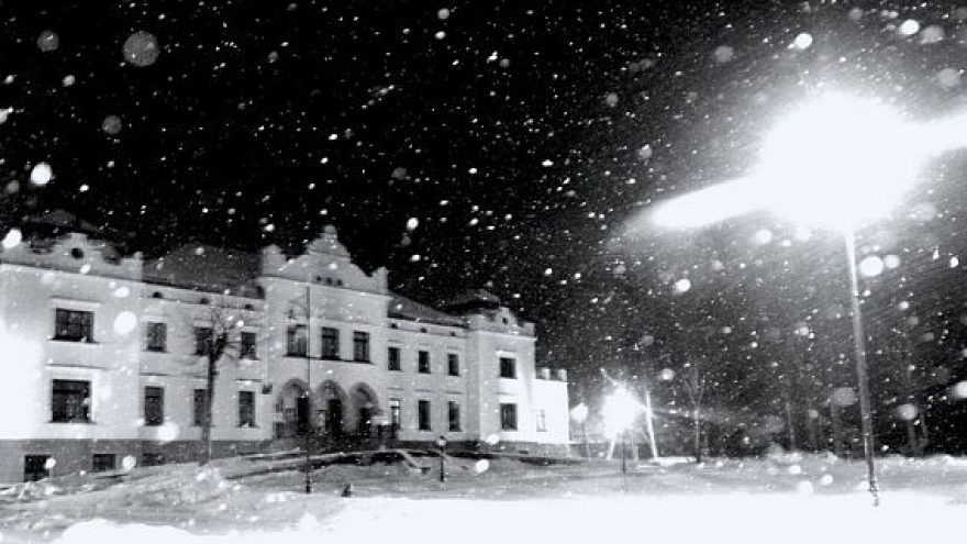 Naujieji Metai Verkių rūmuose