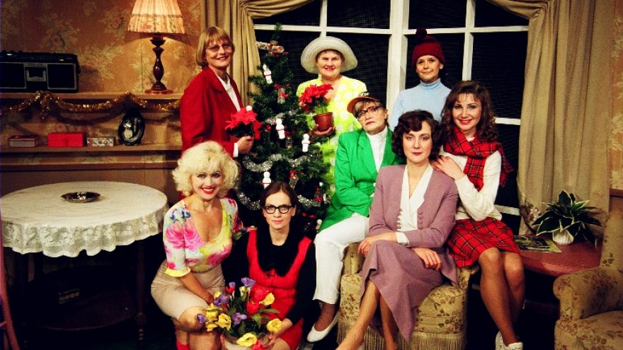 PLIENINĖS MAGNOLIJOS