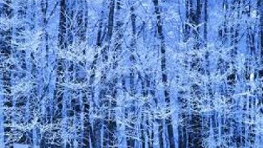 Pėsčiomis iš Karčiupio į Kleboniškį