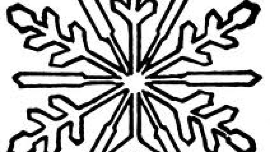 7-asis &#8220;Snaigės&#8221; žygis Vilniuje