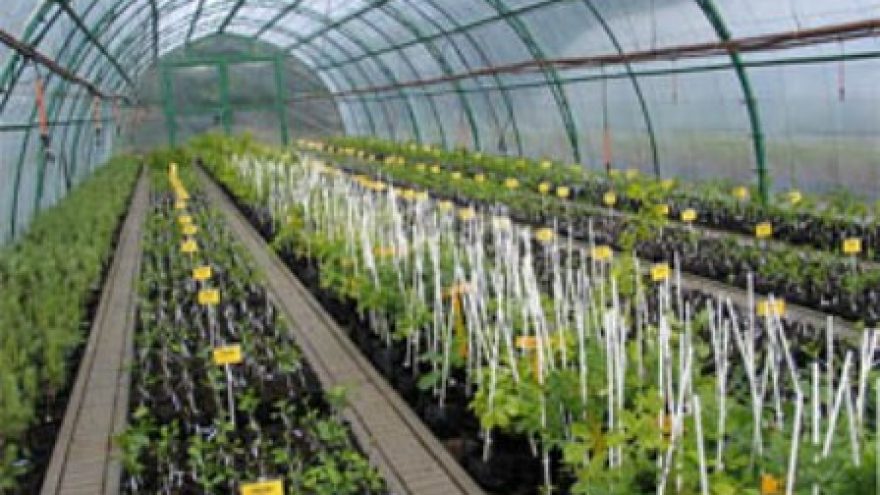 Įspūdinga pavasario mugė