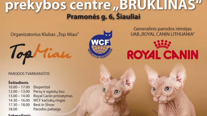 Murkiantys grožiai šildys šiauliečių širdis