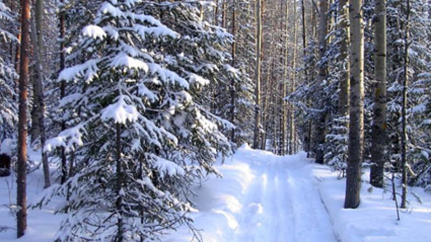 Pusiaužiemo žygis Kurtuvėnų regioniniame parke