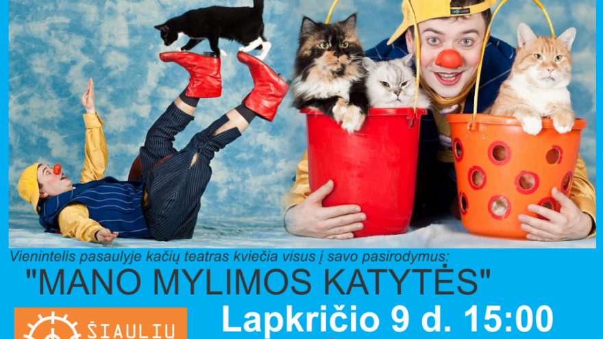 Kačių cirkas &#8220;Mano mylimos katytės&#8221; Šiauliuose