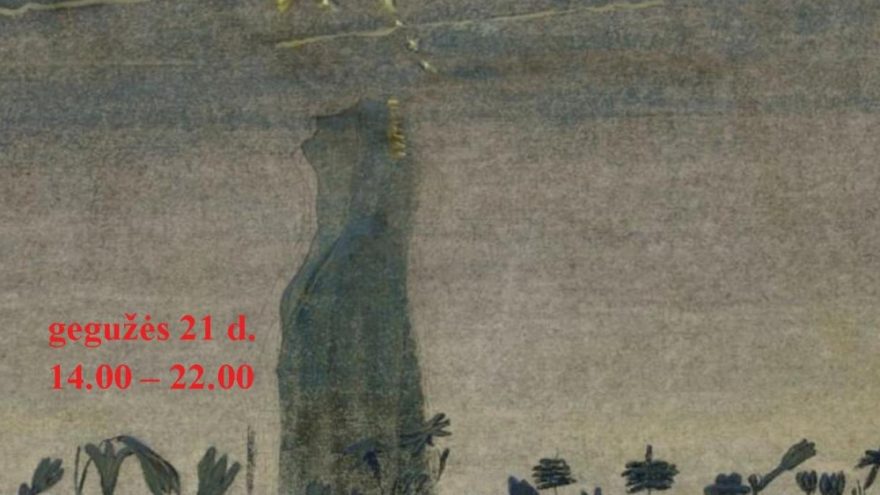 Muziejų naktis Druskininkuose