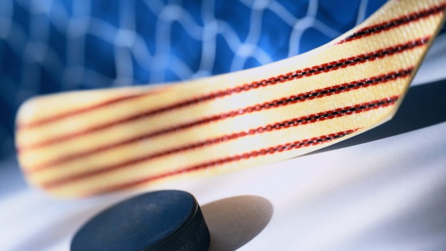 2011.06.13 – 2011.06.19 Sporto baras – Ledo ritulys