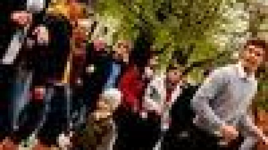 Pažink “Cha cha cha”