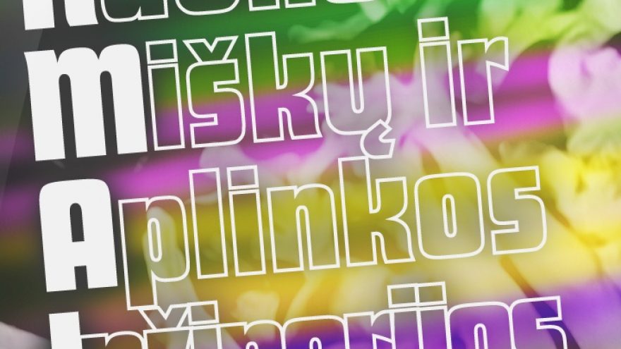 KMAIK SUSIPAŽINIMO VAKARAS