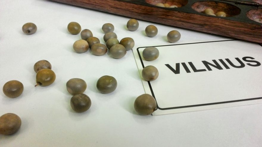 Diskusija BENDRADARBIAVIMAS MIGRACIJOS KONTEKSTE