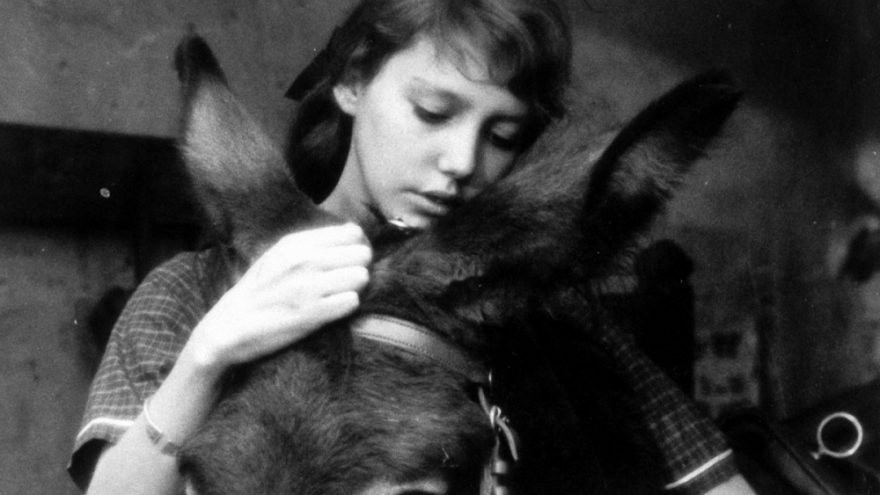 Nekomercinio kino klube – prancūzų kriminalinė drama