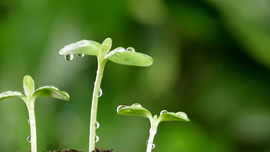 Paskaita “Gimimas antrą kartą – keičiu gyvenimo būdą”.