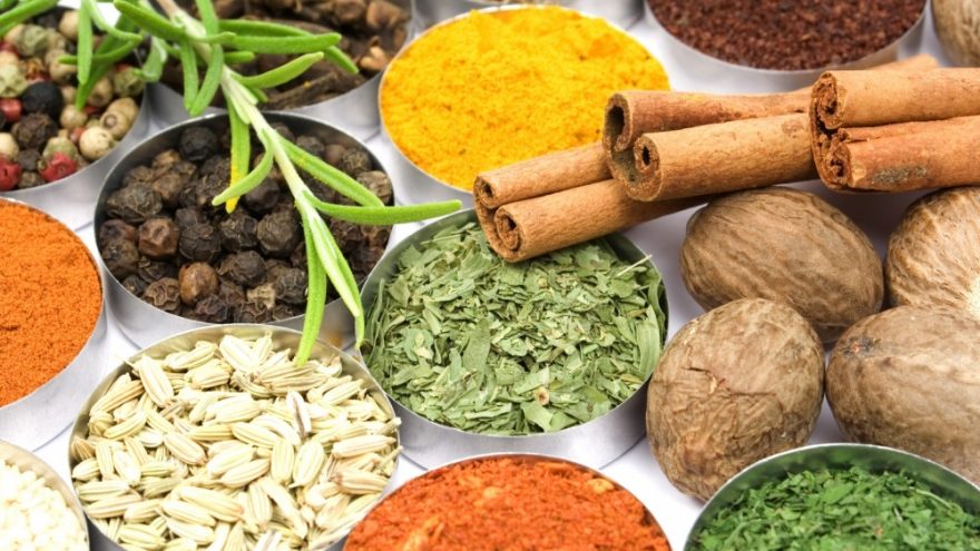 Žilvino Užkuraičio paskaita “Ajurveda: prieskoniai”