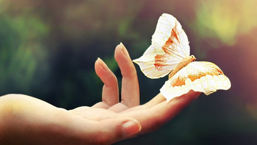 Praktinis seminaras “Drugelio prisilietimo masažas”