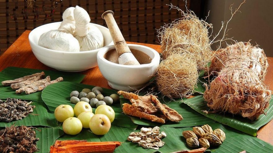 Paskaitų ciklas “Ajurvedos pagrindai”