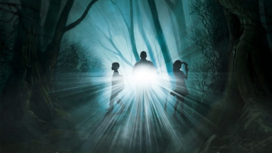 Orientacinis žaidimas Girelės miške temstant &#8220;EIKIRTU&#8221;