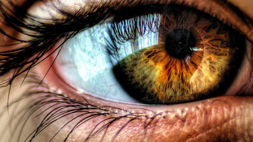 Paskaita “Paprasti regėjimo atstatymo ir stiprinimo būdai”