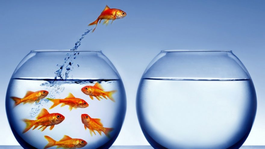 Darbo su pasąmone grupė &#8220;Praktinė magija&#8221;