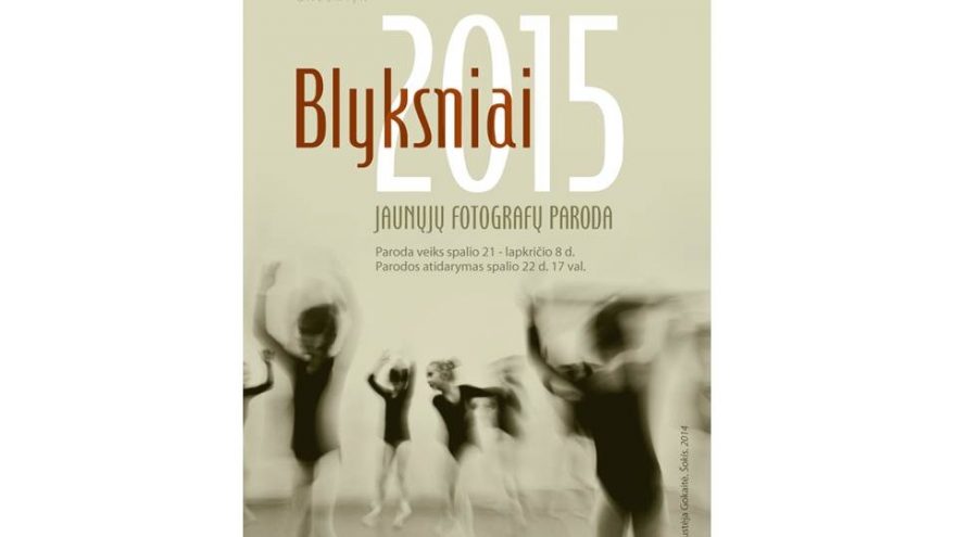 Paroda „Blyksniai 2015“