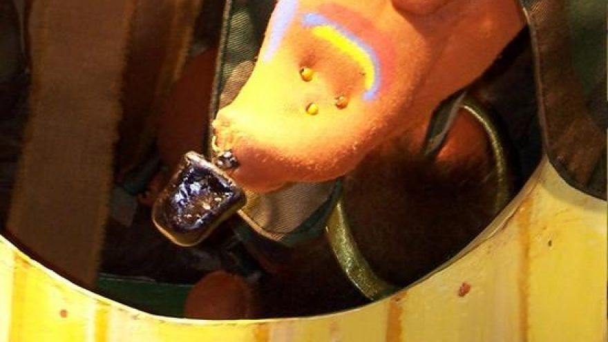 Geras šuo Ferdis. Spektaklis vaikams. Senamiesčio lėlių teatras