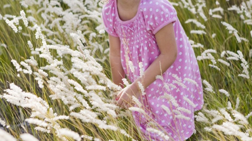 LAISVALAIKIO KLUBAS MAŽIESIEMS