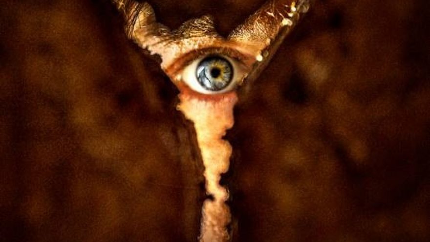 Sugrįžimas į tyliąją kalvą | Kino filmas | Visaginas