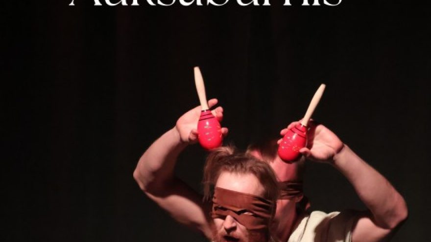 Spektaklis ”Narcizas ir Auksaburnis”, rež. D. Matulionis