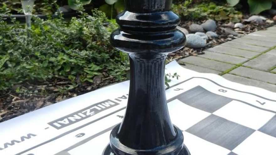 “Iššūkio taurė”