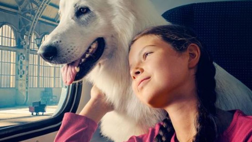 Šuo, kuris keliavo traukiniu | Visaginas | Kino filmas