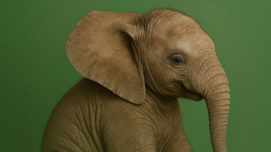 LVSO VAIKAMS | ”ISTORIJA APIE DRAMBLIUKĄ BABARĄ”