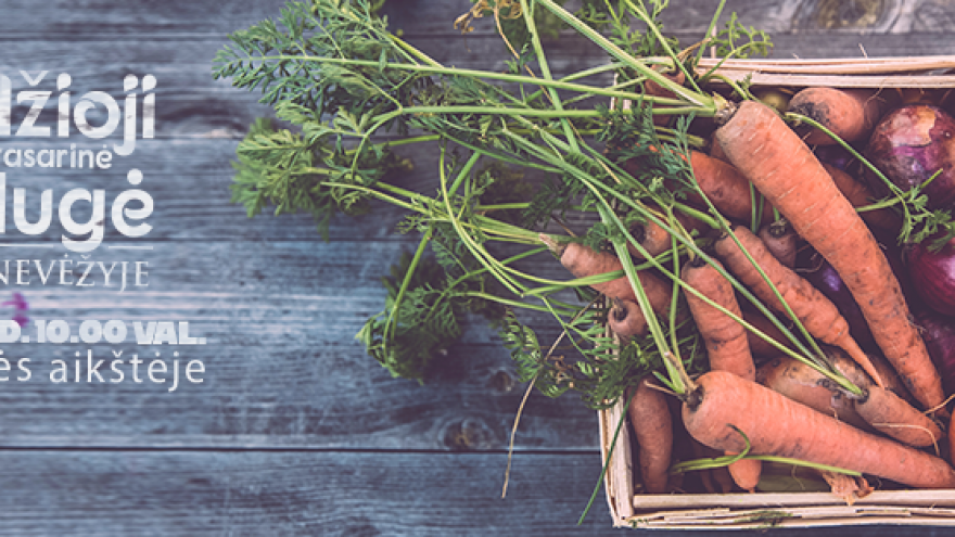 ,,Didžioji pavasarinė mugė” Panevėžyje