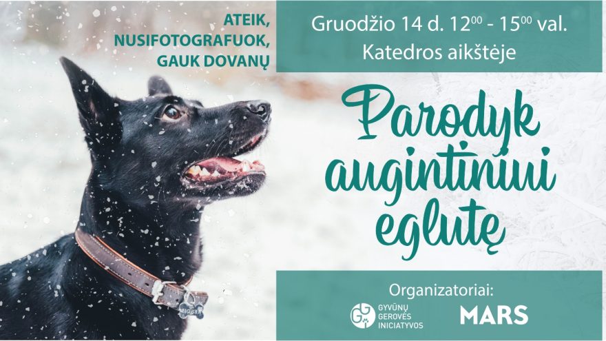 “Parodyk augintiniui eglutę”